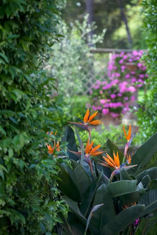 Bed & Breakfast La Cervara Bed and Breakfast Santa Margherita Ligure